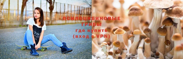 наркотики Кинешма