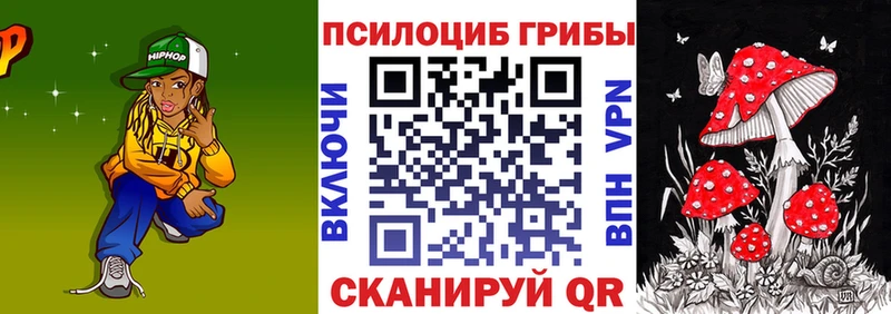 Купить  Гусев  Галлюциногенные грибы MAGIC MUSHROOMS 