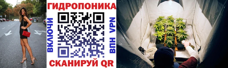 Купить  Гусев  Марихуана сатива 